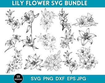 15 Lily Flowers Svg Bundle, Lily Flowers, Lily Flowers Png, Botanical Svg, Lilies Bouquet Svg, Svg Files For Cricut,Instant Download