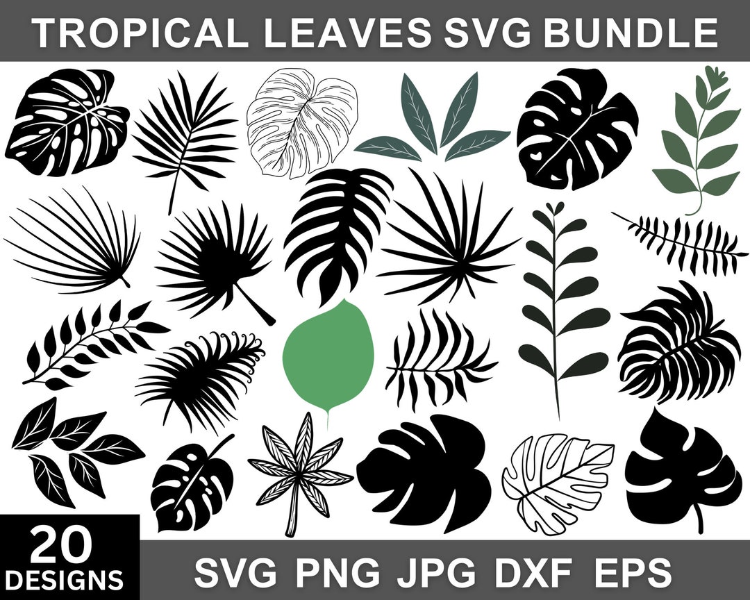 Tropical Leaves Svg Bundle, Monstera Leaf Svg, Tropical Leaves Png ...