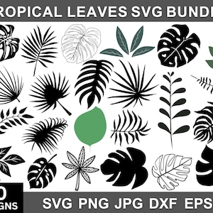 Tropical Leaves Svg Bundle, Monstera Leaf Svg, Tropical Leaves Png, Monstera Plant Svg,Jungle Leaves Png,Commercial Use Svg,Instant Download