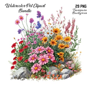 Pu&ograve; includere: Set di clipart ad acquerello di 29 illustrazioni floreali con una variet&agrave; di fiori rosa, rossi, gialli, bianchi e viola. I fiori sono disposti in un bouquet con foglie verdi e rocce.