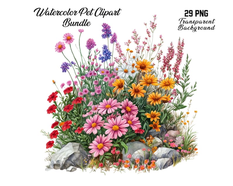Pu&ograve; includere: Set di clipart ad acquerello di 29 illustrazioni floreali con una variet&agrave; di fiori rosa, rossi, gialli, bianchi e viola. I fiori sono disposti in un bouquet con foglie verdi e rocce.