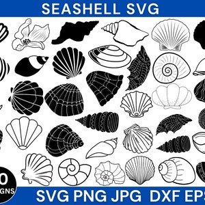 Seashell Svg Bundle, Seashell Png, Seashell Clipart, Seashells Svg, Seashell Cut File, Seashell Cricut, Instant Download, Silhouette, Vector