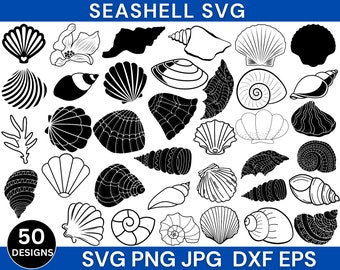 Seashell Svg Bundle, Seashell Png, Seashell Clipart, Seashells Svg, Seashell Cut File, Seashell Cricut, Instant Download, Silhouette, Vector