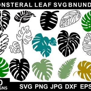 Monstera Leaf Svg Bundle, Monstera Png, Tropical Leaves Svg, Monstera Clipart, Monstera Plant Svg, Svg Bundle,Instant Download, Silhouette