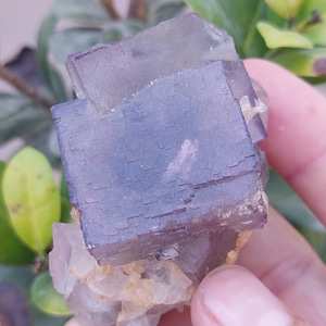 95 Gram Purple Color Cubic Flourite Crystal From Balochistan, Pakistan - Natural Healing, Crystal, Fluorite