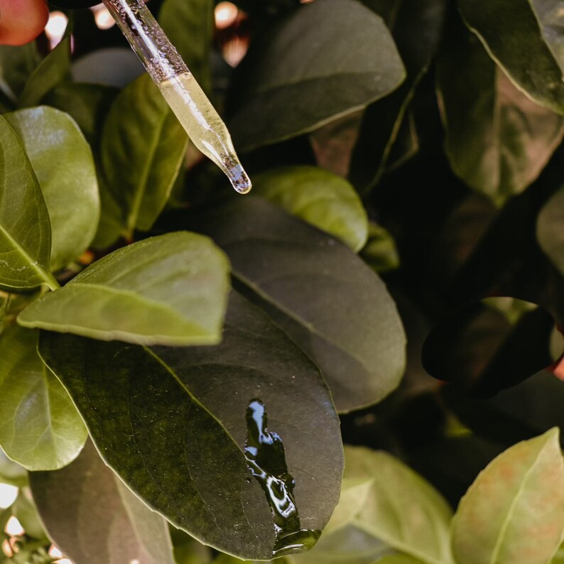 May include: A clear glass dropper with a yellow liquid is being used to apply a drop of liquid to a green leaf.