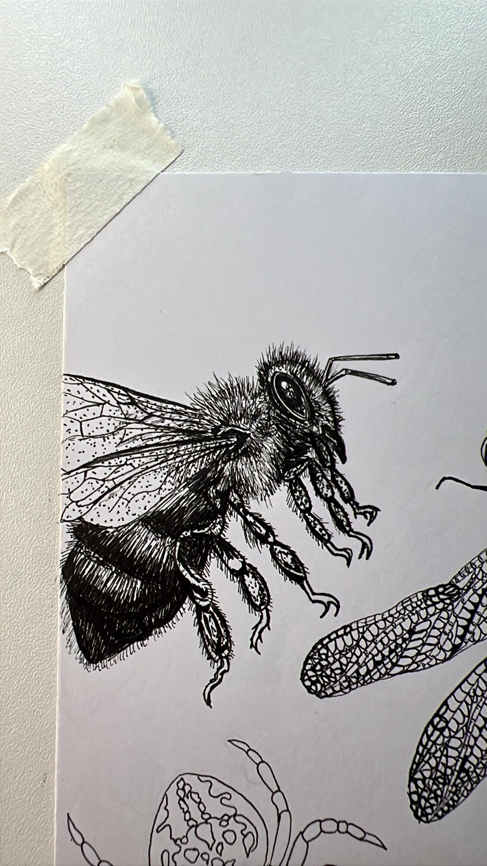 Forest Insects –original Hand-drawn Pen & Ink Artwork. - Etsy