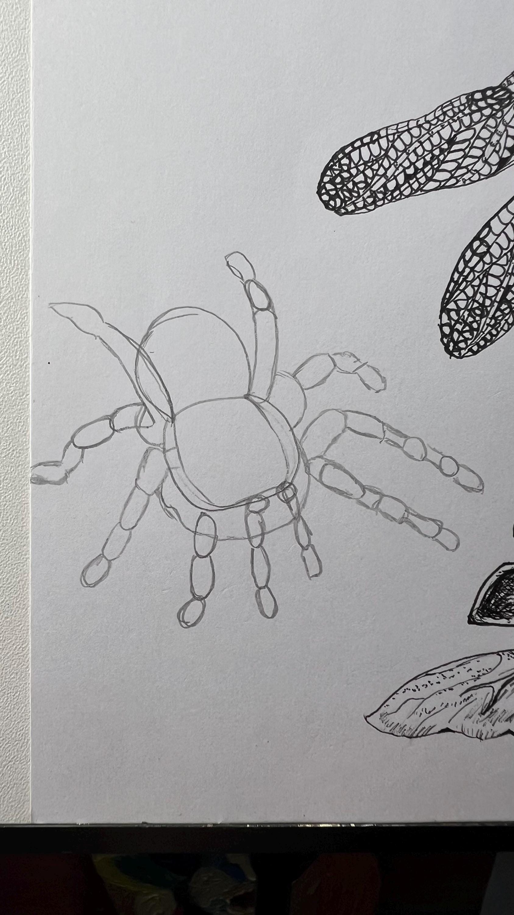 Forest Insects –original Hand-drawn Pen & Ink Artwork. - Etsy