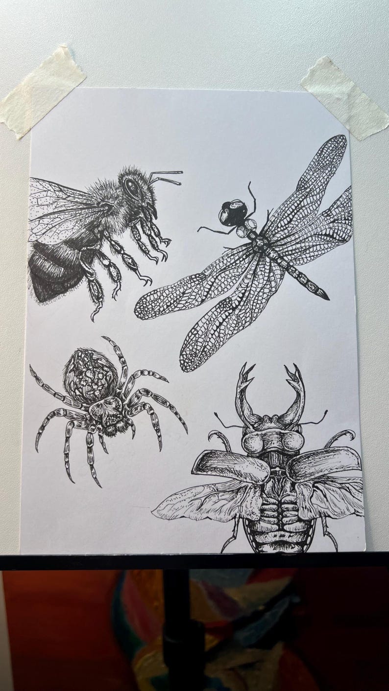 Forest Insects –original Hand-drawn Pen & Ink Artwork. - Etsy