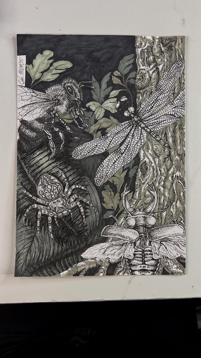Forest Insects –original Hand-drawn Pen & Ink Artwork. - Etsy