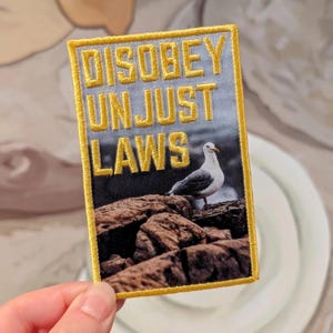Könnte beinhalten: Rechteckiger Aufnäher mit goldfarbenem Rand und dem Schriftzug "DISOBEY UN JUST LAWS" in Gold. Der Aufnäher zeigt ein Foto einer Möwe auf Felsen vor einem bewölkten Himmel.