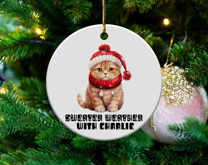 Sweater Weather Pet Ornament Custom Name Christmas Decoration Holiday Gift Cute Cat in Hat Personalized Xmas Tree