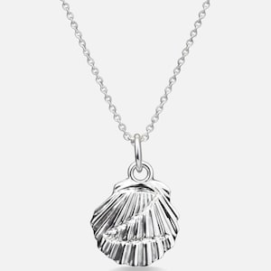 Z Shell Chain Necklace, Stainless Steel, Handmade Ocean Shell Pendant