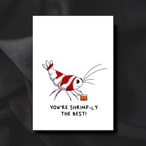 You're shrimply the best | Handmade | Shrimp | Birthday Card | Father's Day |  Valentine's Day | Anniversary Card | Punny Cute