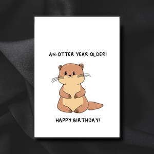 Anotter year older | Handmade | Otter | Greeting Card | Birthday Card | Punny Cute