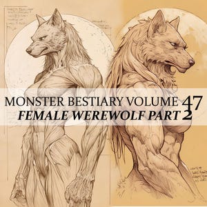 May include: Line art illustration of a female werewolf in two poses. The image is titled "Monster Bestiary Volume 47 Female Werewolf Part 2".