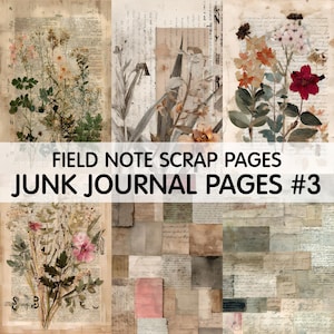 May include: A collage of vintage-style scrapbook pages with floral and botanical illustrations. The pages feature faded text, botanical prints, and the text "FIELD NOTE SCRAP PAGES" and "JUNK JOURNAL PAGES #3". The color palette includes beige, brown, and muted greens.