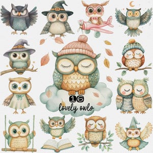 Ensemble de cliparts hibou vintage – 16 hiboux aquarelles mignons PNG pour décoration de chambre d'enfant, travaux manuels et scrapbooking