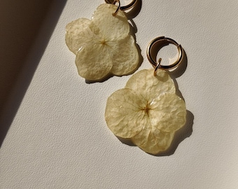 Oorbellen echte bloemenhars, gedroogde hortensia, gouden oorringen