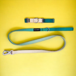 Pode incluir: Um conjunto de coleira e trela para cães verde e creme com o texto "WO.CHERIE" na trela.