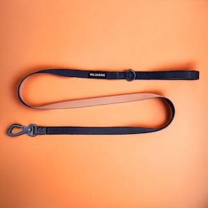 Schwarz orange Hundeleine mit gepolstertem Griff, 140cm Hundeleine