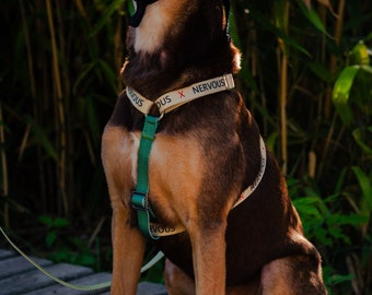 CENWA Hundehalsband Für Nervöse/ängstliche Hunde – Verstellbar (30-47 Cm), Polyester, Wasserfest, Mit Aufdruck