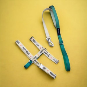 Gradient Green-Yellow Nervous Anxious Dog harness and leash walking set