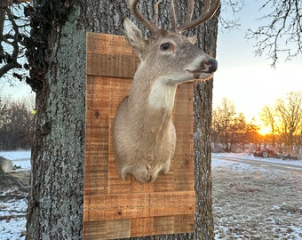 Barn Door Shoulder Mount Plaque