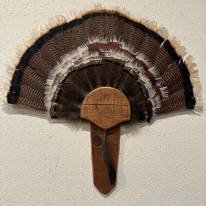 Classic Turkey Fan Mount 画像 7