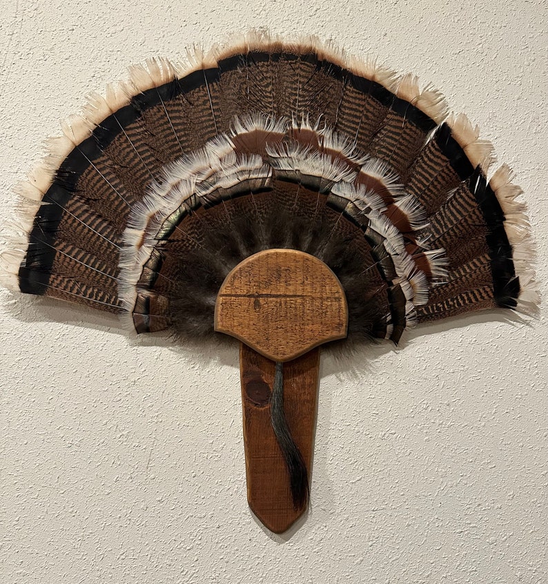 Classic Turkey Fan Mount immagine 7