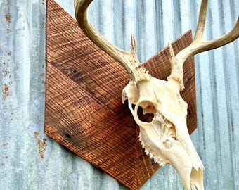Chevron Oak Euro Mount