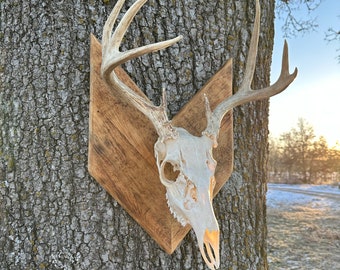 Euro Mount Plaque