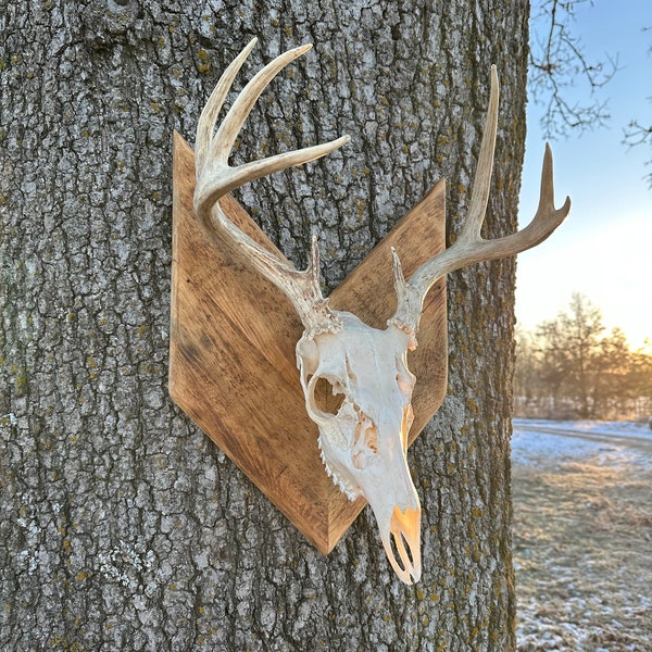 Euro Mount Plaque