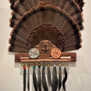 Multi Beard Turkey Fan Display WITH SHELF