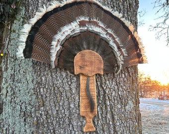 Box Call Turkey Fan Mount