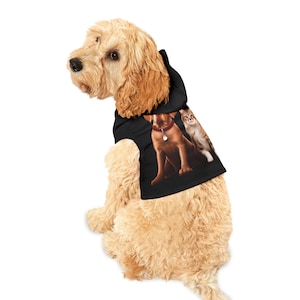 pet hoodie, cat hoodie, dog costume, pet remembrance gift, custom pet tshirt, dog jacket, large dog sweater, funny dog shirt, dog coat