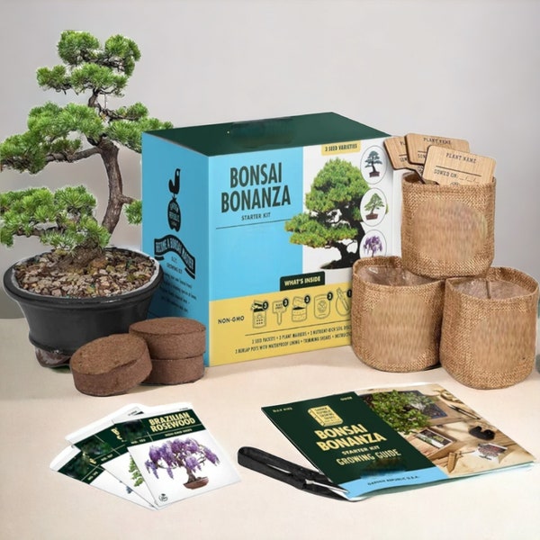 Indoor Bonsai Tree Kit - Cultivate 3 Mini Bonsai Trees with Our Complete Growing Set - Perfect Gardening Gifts for Women and Fathers Day