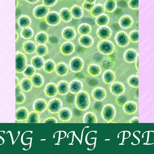 Könnte beinhalten: Ein nahtloses Muster mit einem sich wiederholenden Design aus grünen und gelben Kreisen auf hellgrünem Hintergrund. Die Kreise haben eine strukturierte, fast organische Erscheinung, die an Zellen oder Mikroorganismen erinnert.