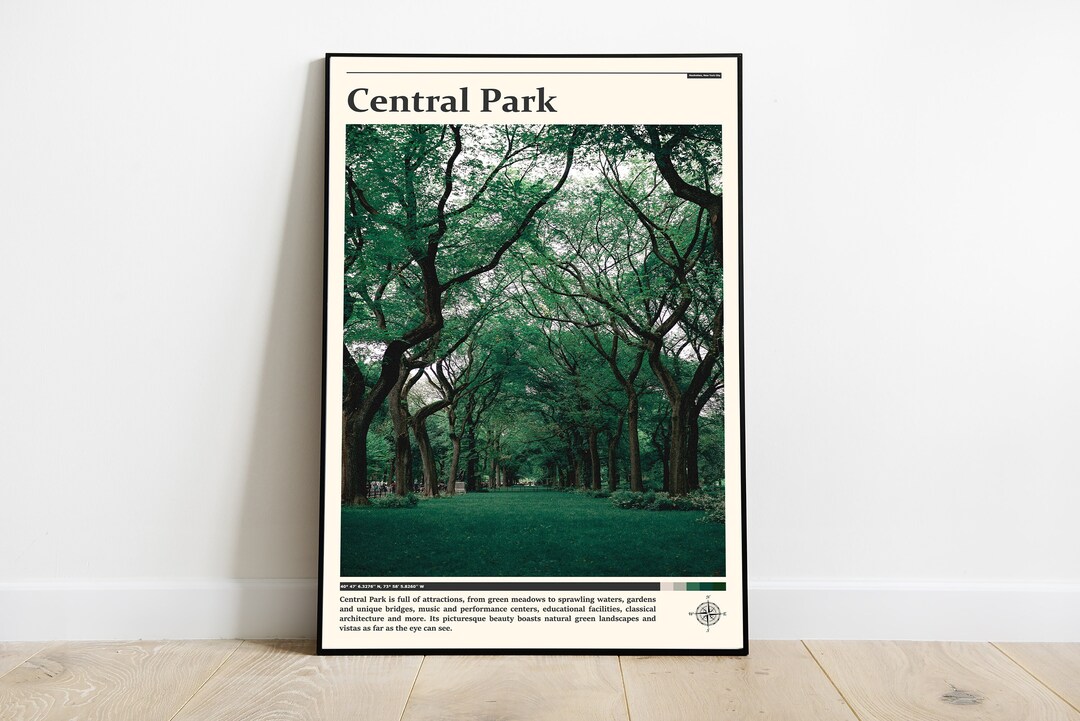 Central Park Print / Central Park Wall Art / Central Park Etsy