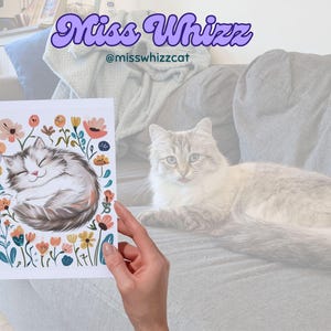 Napping Siberian Cat Card – Cute Cozy Gift for Cat Lovers, Cat Moms & Owners – Adorable Feline Art for Birthdays, Thank You and Any Occasion