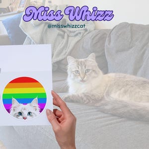 Rainbow Pride Katzen Grußkarte – Niedliches LGBTQ+ Geschenk für Katzenliebhaber, Katzenmamas & Katzenbesitzer – Bunte Kitty Kunst zum Geburtstag, Dankeschön und mehr
