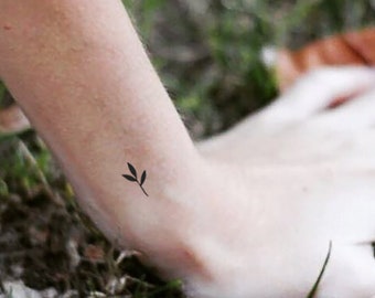 Jade Plant Temporary Tattoo (set of 3) - Etsy