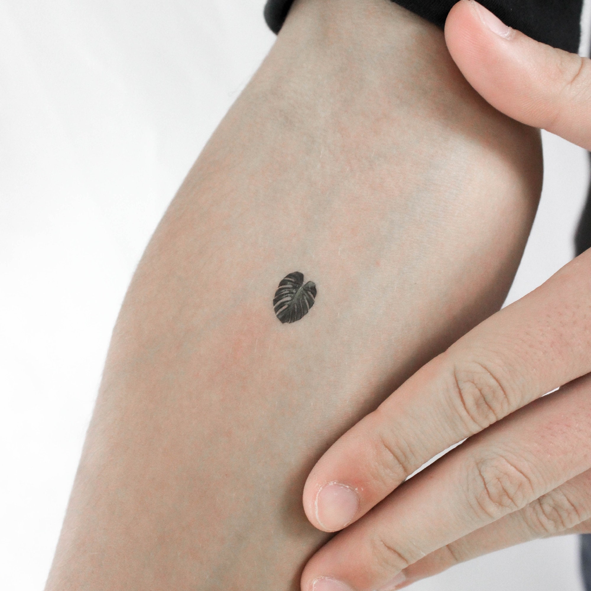Tiny Monstera Leaf Temporary Tattoo (set of 3) - Etsy