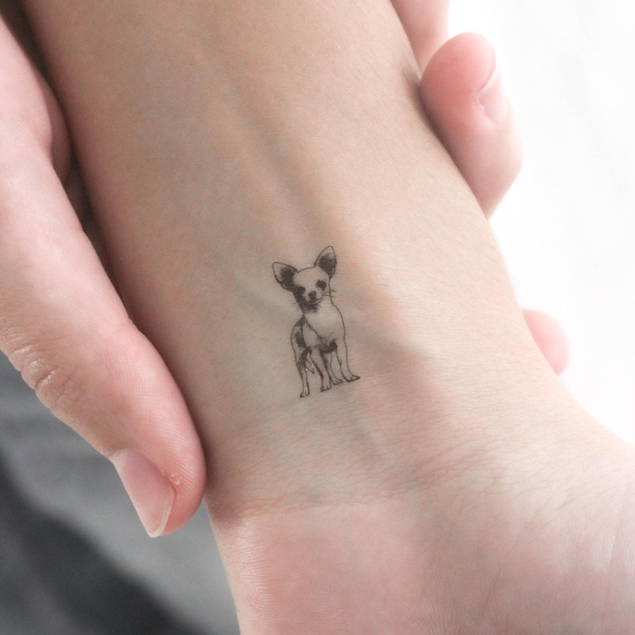 Little Chihuahua Temporary Tattoo (Set of 3)