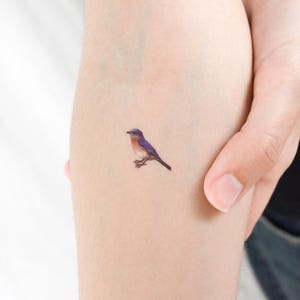 Rotkehlchen temporäres Tattoo (3er Set)