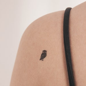 Può includere: Un piccolo tatuaggio di un gufo nero sulla spalla di una persona.