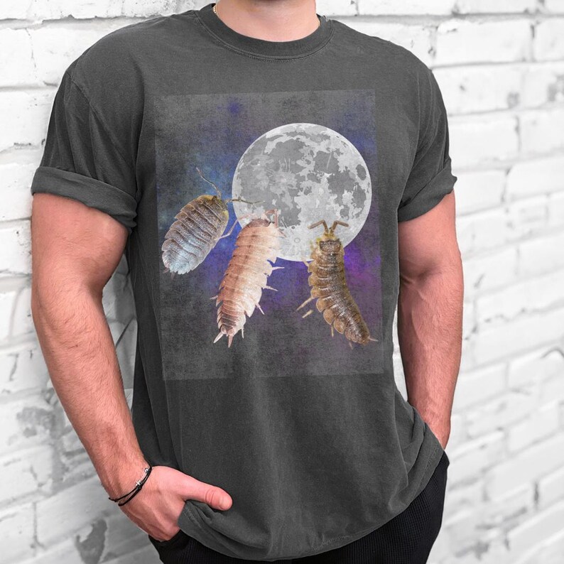 May include: A dark gray t-shirt with a graphic of three pill bugs in front of a full moon. The moon is white with a textured surface and the pill bugs are brown and gray.
