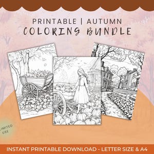 Autumn Coloring Book: 17 Pages of Coziness and Autumnal Beauty PDF for Instant Printing, Procreate or Ipad Painting