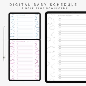 Digital Baby Schedule, Baby Log, 24 Hour Baby Care, Infant Log, Baby Routine Tracker, Infant Schedule, Printable Baby Schedule, Newborn Log