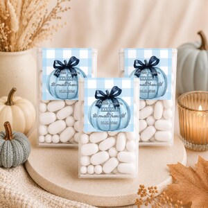 May include: Three clear rectangular containers filled with white oval candies. Each container features a label with a light blue gingham pattern, a blue pumpkin illustration with a dark blue bow, and the text Little man mint to melt hearts! 10.11.2025.